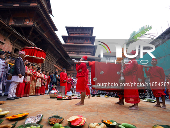 A palanquin containing the Phulpati, an assortment of flowers, leaves, and fruits of different plants considered auspicious and anointed at...