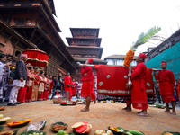 A palanquin containing the Phulpati, an assortment of flowers, leaves, and fruits of different plants considered auspicious and anointed at...