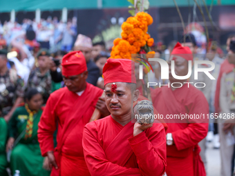 A palanquin containing the Phulpati, an assortment of flowers, leaves, and fruits of different plants considered auspicious and anointed at...