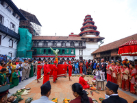 A palanquin containing the Phulpati, an assortment of flowers, leaves, and fruits of different plants considered auspicious and anointed at...