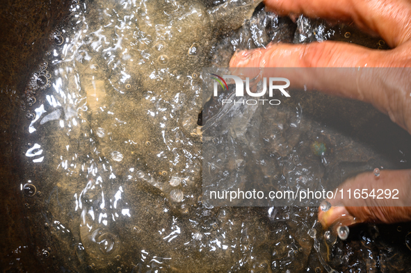 White sediment, typically caused by dissolved minerals like calcium and magnesium associated with water hardness, is visible in water at Teh...