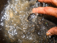 White sediment, typically caused by dissolved minerals like calcium and magnesium associated with water hardness, is visible in water at Teh...