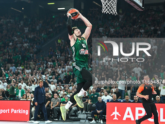 Cedi Osman of Panathinaikos AKTOR Athens plays during the Euroleague, Round 2 match between Panathinaikos AKTOR Athens and FC Bayern Munich...