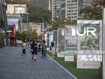 A general view near Cinema Center in Busan, South Korea, on October 10, 2024. The Busan International Film Festival is held from October 2 t...