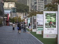 A general view near Cinema Center in Busan, South Korea, on October 10, 2024. The Busan International Film Festival is held from October 2 t...