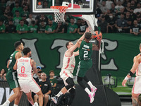 Lorenzo Brown of Panathinaikos BC is in action during the Euroleague basketball match between Panathinaikos AKTOR Athens and FC Bayern Munic...