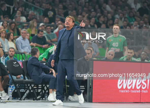 Manager of Panathinaikos Ergin Ataman is present during the Euroleague basketball match between Panathinaikos AKTOR Athens and FC Bayern Mun...