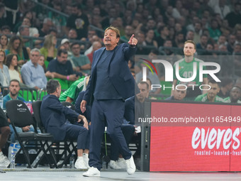 Manager of Panathinaikos Ergin Ataman is present during the Euroleague basketball match between Panathinaikos AKTOR Athens and FC Bayern Mun...