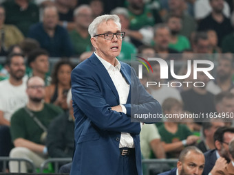 Manager of Bayern Munich, Gordon Herbert, is present during the Euroleague basketball match between Panathinaikos AKTOR Athens and FC Bayern...