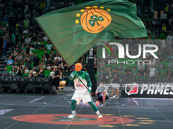 The mascot of Panathinaikos BC waves the flag during the Euroleague basketball match between Panathinaikos AKTOR Athens and FC Bayern Munich...