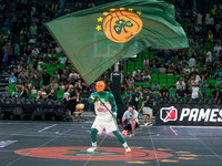 The mascot of Panathinaikos BC waves the flag during the Euroleague basketball match between Panathinaikos AKTOR Athens and FC Bayern Munich...