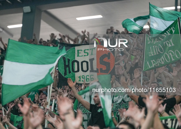 Panathinaikos supporters are seen during the Euroleague basketball match between Panathinaikos AKTOR Athens and FC Bayern Munich at OAKA Oly...