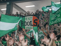 Panathinaikos supporters are seen during the Euroleague basketball match between Panathinaikos AKTOR Athens and FC Bayern Munich at OAKA Oly...