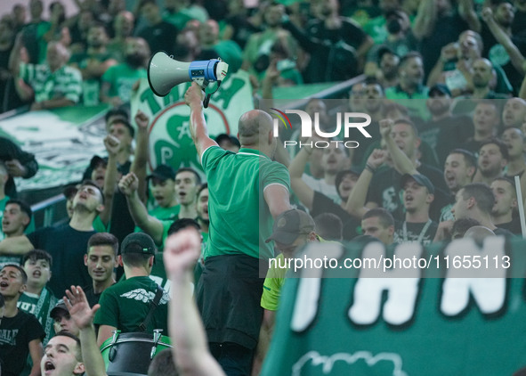 Panathinaikos supporters are seen during the Euroleague basketball match between Panathinaikos AKTOR Athens and FC Bayern Munich at OAKA Oly...