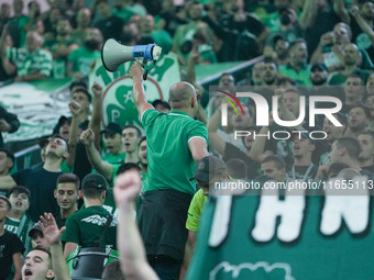 Panathinaikos supporters are seen during the Euroleague basketball match between Panathinaikos AKTOR Athens and FC Bayern Munich at OAKA Oly...