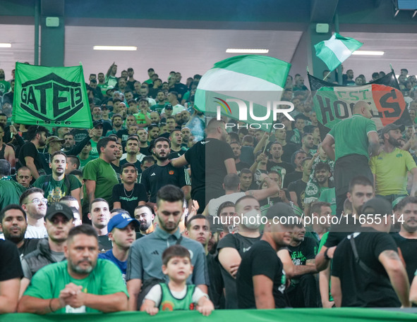 Panathinaikos supporters are seen during the Euroleague basketball match between Panathinaikos AKTOR Athens and FC Bayern Munich at OAKA Oly...