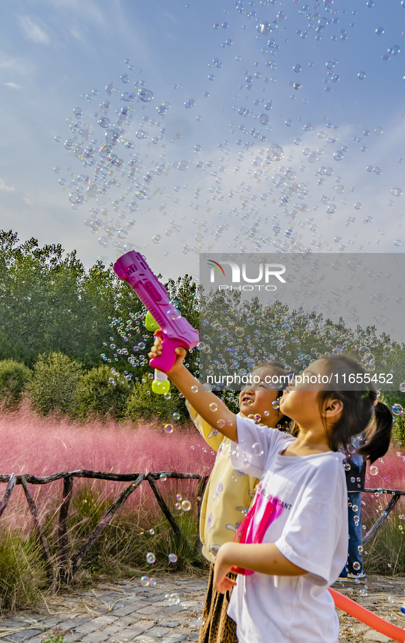 Tourists play in pink grass in Suqian, Jiangsu province, China, on October 10, 2024. 