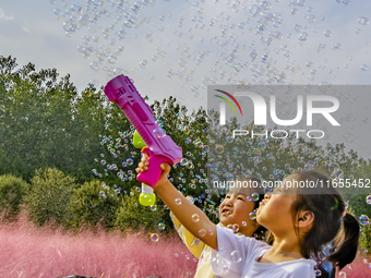 Tourists play in pink grass in Suqian, Jiangsu province, China, on October 10, 2024. (