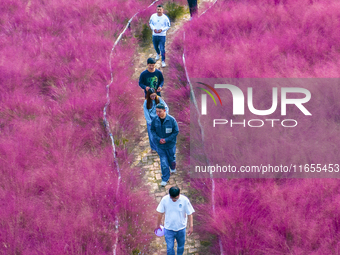 Tourists play in pink grass in Suqian, Jiangsu province, China, on October 10, 2024. (