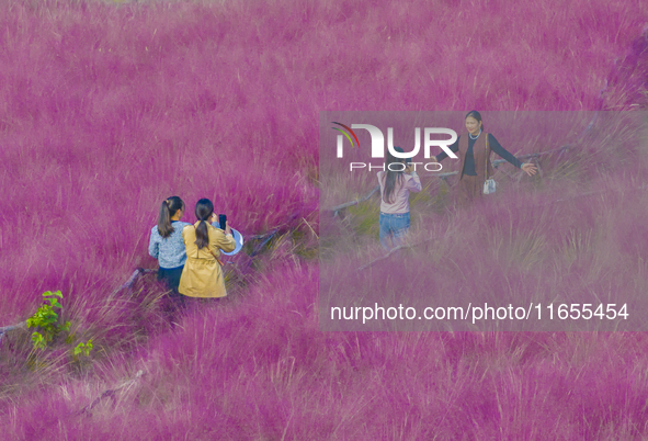 Tourists play in pink grass in Suqian, Jiangsu province, China, on October 10, 2024. 