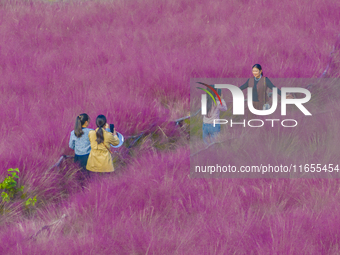 Tourists play in pink grass in Suqian, Jiangsu province, China, on October 10, 2024. (