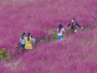 Tourists play in pink grass in Suqian, Jiangsu province, China, on October 10, 2024. (