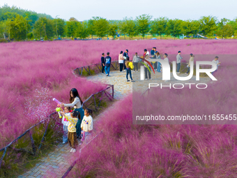 Tourists play in pink grass in Suqian, Jiangsu province, China, on October 10, 2024. (