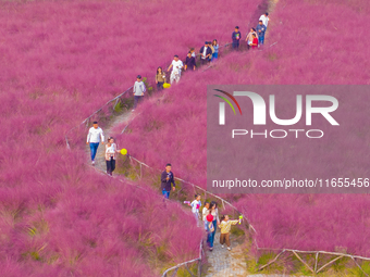 Tourists play in pink grass in Suqian, Jiangsu province, China, on October 10, 2024. (