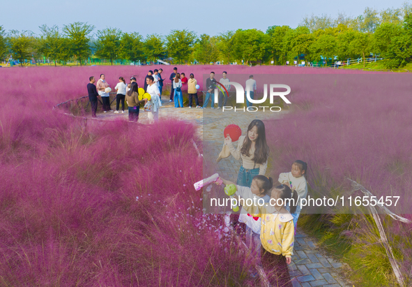 Tourists play in pink grass in Suqian, Jiangsu province, China, on October 10, 2024. 