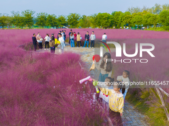 Tourists play in pink grass in Suqian, Jiangsu province, China, on October 10, 2024. (