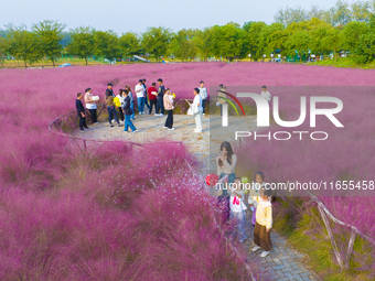 Tourists play in pink grass in Suqian, Jiangsu province, China, on October 10, 2024. (