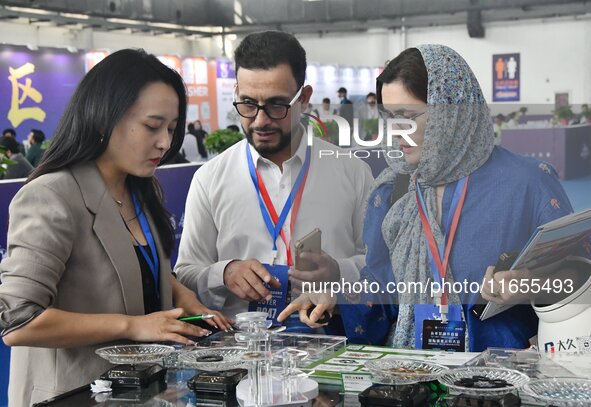 Foreign merchants learn about fastener products at the 2024 International Procurement Conference in Handan, China, on October 10, 2024. 