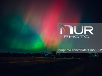 The night sky in Wisconsin glows with the Northern Lights as a geomagnetic storm brings vibrant pink and green colors to a majority of the n...