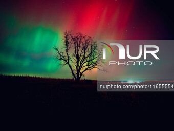 The night sky in Wisconsin glows with the Northern Lights as a geomagnetic storm brings vibrant pink and green colors to a majority of the n...