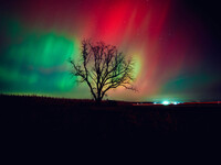 The night sky in Wisconsin glows with the Northern Lights as a geomagnetic storm brings vibrant pink and green colors to a majority of the n...