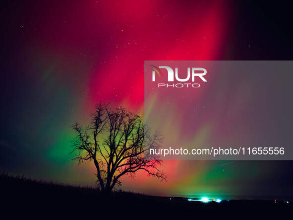 The night sky in Wisconsin glows with the Northern Lights as a geomagnetic storm brings vibrant pink and green colors to a majority of the n...