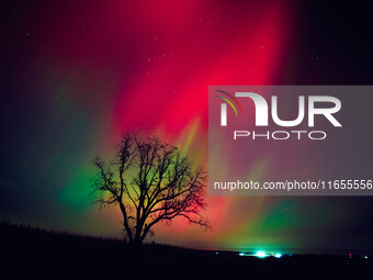 The night sky in Wisconsin glows with the Northern Lights as a geomagnetic storm brings vibrant pink and green colors to a majority of the n...