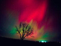 The night sky in Wisconsin glows with the Northern Lights as a geomagnetic storm brings vibrant pink and green colors to a majority of the n...