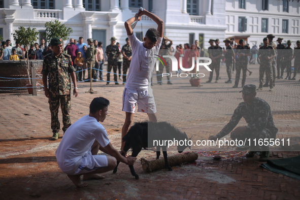 GRAPHIC WARNING: Nepal Army personnel sacrifice a goat on the occasion of Navami, the ninth day of the Dashain Festival, at Basantapur Durba...