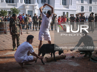 GRAPHIC WARNING: Nepal Army personnel sacrifice a goat on the occasion of Navami, the ninth day of the Dashain Festival, at Basantapur Durba...