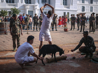 GRAPHIC WARNING: Nepal Army personnel sacrifice a goat on the occasion of Navami, the ninth day of the Dashain Festival, at Basantapur Durba...