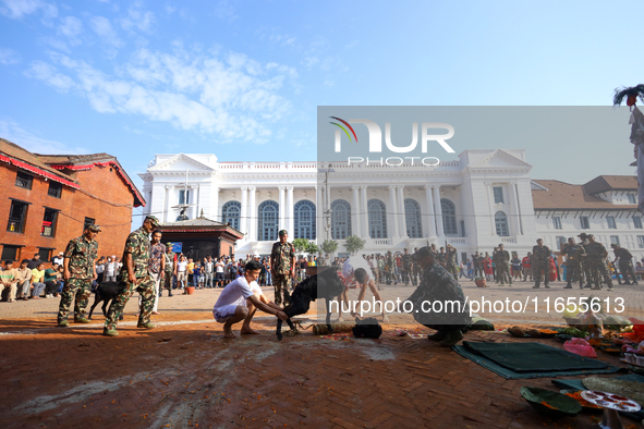 GRAPHIC WARNING: Nepal Army personnel sacrifice a he-goat in Kathmandu Durbar Square on the final day of Nawaratri in Kathmandu, Nepal, on O...