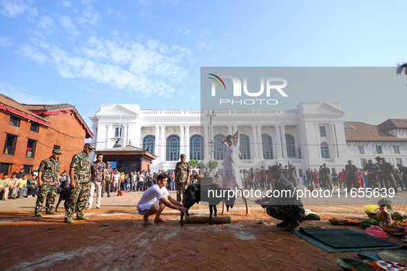 Nepal Army personnel sacrifice a he-goat offered to the Nepali Hindu Goddess Bhawani in Kathmandu, Nepal, on October 11, 2024. 