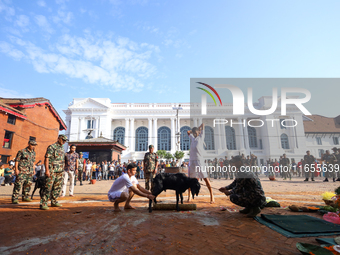 Nepal Army personnel sacrifice a he-goat offered to the Nepali Hindu Goddess Bhawani in Kathmandu, Nepal, on October 11, 2024. (