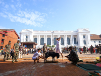 Nepal Army personnel sacrifice a he-goat offered to the Nepali Hindu Goddess Bhawani in Kathmandu, Nepal, on October 11, 2024. (