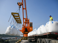 A crane transfers phthalic acid to a truck at the eastern operation area of Siyang Port on the Beijing-Hangzhou Grand Canal in Suqian, China...