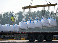 A crane transfers phthalic acid to a truck at the eastern operation area of Siyang Port on the Beijing-Hangzhou Grand Canal in Suqian, China...