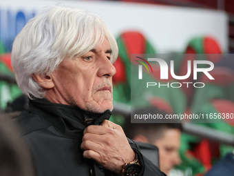 Ivan Jovanovic is the head coach of Greece during the UEFA Nations League Group 2 match between England and Greece at Wembley Stadium in Lon...