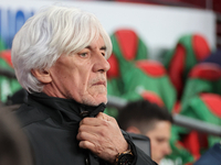 Ivan Jovanovic is the head coach of Greece during the UEFA Nations League Group 2 match between England and Greece at Wembley Stadium in Lon...