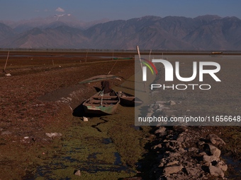 The water level of Wular Lake decreases, posing a threat to the livelihood of residents living around the lake in Sopore, Jammu and Kashmir,...